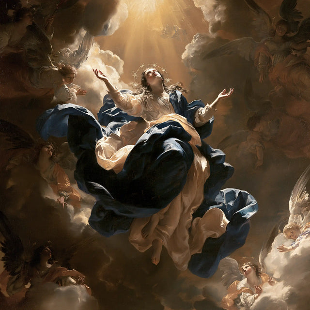 The Assumption of Mary — Ivory in the Hollow of the Storm