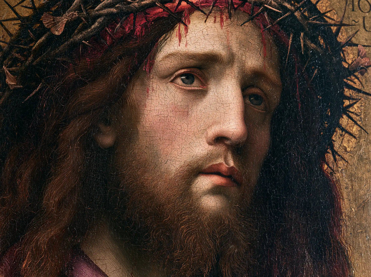 Jesus Crowned with Thorns — The Rosy Cheek beside the Nimbus