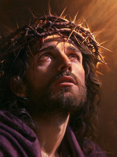 Jesus crowned with thorns in sacred sorrow in Sacred Sorrow style, portrait Christian artwork no. 14