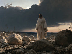 Jesus in the Desert — Ivory Folds before the Rose-Tinted Evening